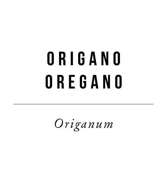 Cioccolato affinato nelle foglie di Origano 3 cioccolato affinato nell'origano
