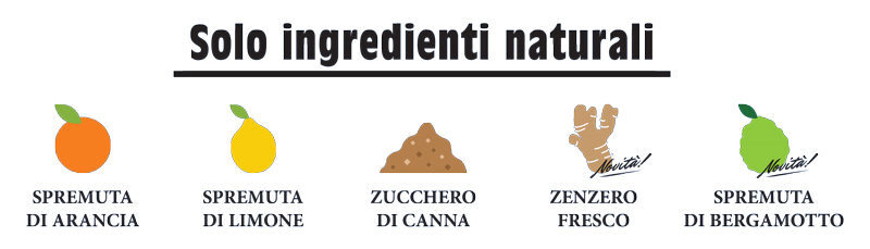 Come preparare una bibita gassata naturale a casa tua 3 Ingredienti naturali Bibite Madre