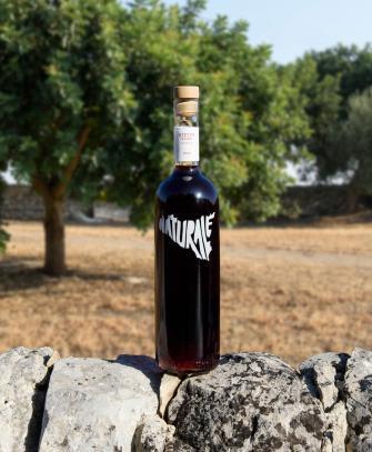 BITTER NATURALE - annata 2018 4 bitter naturale biologico